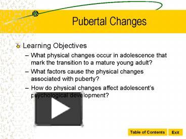 PPT – Pubertal Changes PowerPoint Presentation | Free To View - Id ...