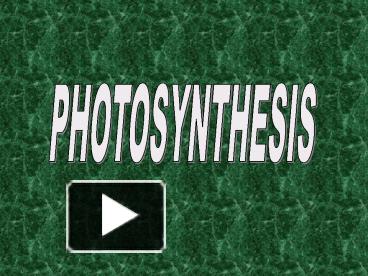 PPT – PHOTOSYNTHESIS PowerPoint Presentation | Free To View - Id ...