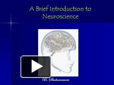 PPT – A Brief Introduction To Neuroscience PowerPoint Presentation ...