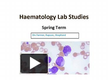 PPT – Haematology Lab Studies PowerPoint Presentation | Free To View ...