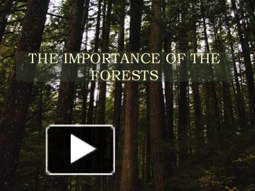 PPT – THE IMPORTANCE OF THE FORESTS PowerPoint Presentation | Free To ...