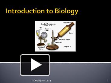 PPT – Biology 11 - Introduction To Biology PowerPoint Presentation ...