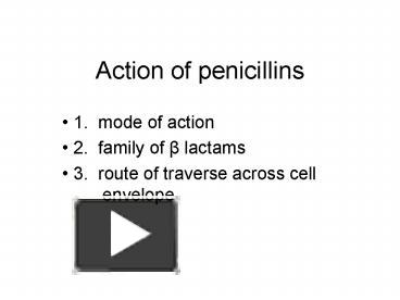 PPT – Action Of Penicillins PowerPoint Presentation | Free To View - Id ...