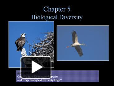 Ppt Biological Diversity Powerpoint Presentation Free To View Id E Nzuxm