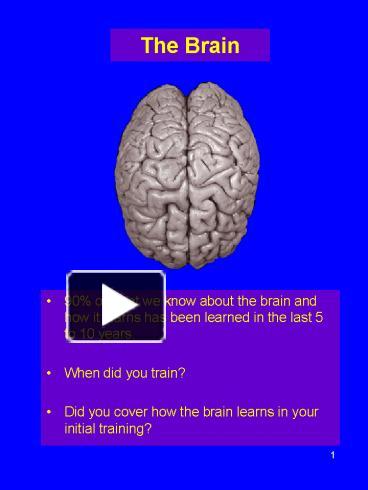 PPT – The Brain PowerPoint Presentation | Free To View - Id: 14fd74-MjE0N