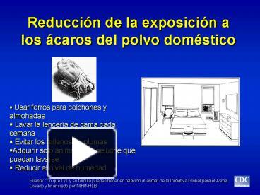 PPT Reduccin De La Exposicin A Los Caros Del Polvo Domstico