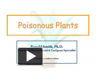 PPT – Poisonous Plants PowerPoint Presentation | Free To View - Id ...