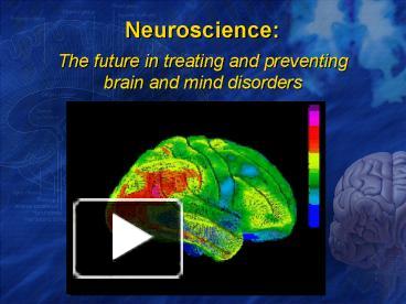 PPT – Neuroscience: PowerPoint Presentation | Free To View - Id: 15d616 ...