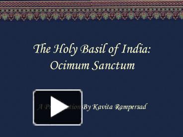 PPT The Holy Basil of India Ocimum Sanctum PowerPoint