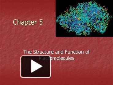 PPT – The Structure And Function Of Macromolecules PowerPoint ...