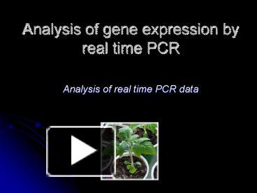 PPT – Analysis Of Gene Expression By Real Time PCR PowerPoint ...