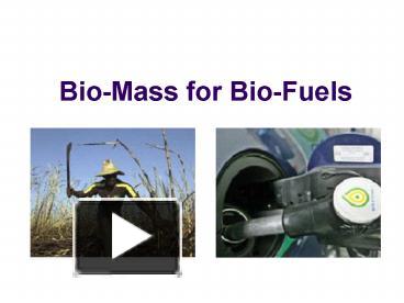 PPT – BioMass For BioFuels PowerPoint Presentation | Free To View - Id ...