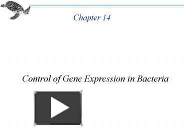 PPT Control Of Gene Expression In Bacteria PowerPoint Presentation