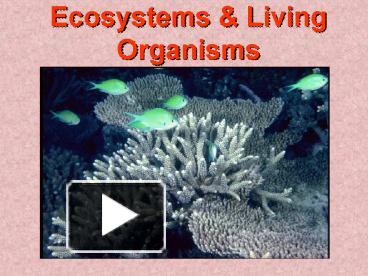 PPT – Ecosystems PowerPoint Presentation | Free To View - Id: 1a9db5-MmNlM