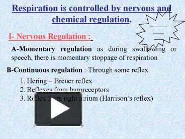 PPT – Respiration Is Controlled By Nervous And Chemical Regulation ...