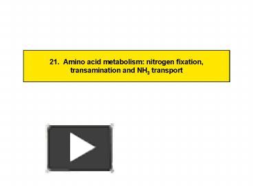 PPT – 21' Amino Acid Metabolism: Nitrogen Fixation, Transamination And ...