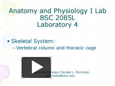 PPT – Anatomy And Physiology I Lab BSC 2085L Laboratory 4 PowerPoint ...