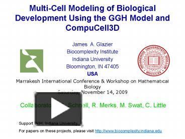 PPT – MultiCell Modeling Of Biological Development Using The GGH Model ...