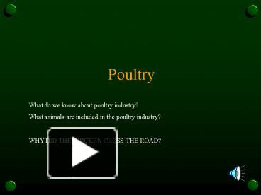 PPT – Poultry PowerPoint Presentation | Free To View - Id: 1b5f3-NWQ4Z