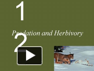 PPT – Predation And Herbivory PowerPoint Presentation | Free To View ...