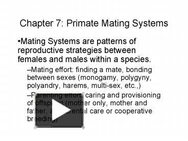 Ppt Chapter 7 Primate Mating Systems Powerpoint Presentation Free