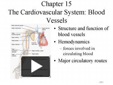 Ppt Chapter The Cardiovascular System Blood Vessels Powerpoint