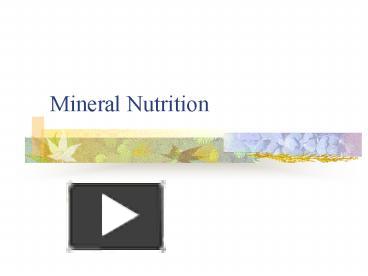 PPT – Mineral Nutrition PowerPoint Presentation | Free To View - Id ...