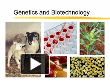 PPT – Genetics And Biotechnology PowerPoint Presentation | Free To View ...