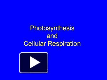 PPT – Photosynthesis And Cellular Respiration PowerPoint Presentation ...