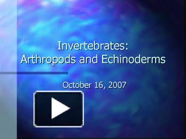 Ppt Invertebrates Arthropods And Echinoderms Powerpoint Presentation Free To View Id