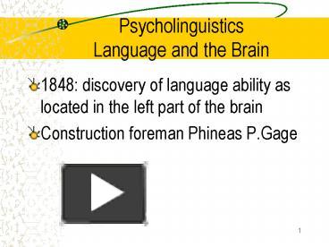 PPT – Psycholinguistics Language And The Brain PowerPoint Presentation ...