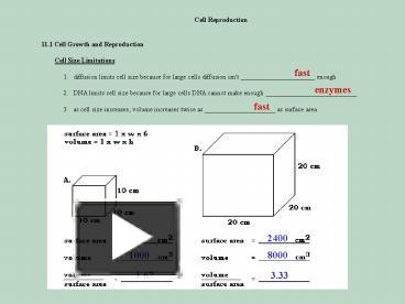 PPT – Cell Reproduction PowerPoint Presentation | Free To View - Id ...