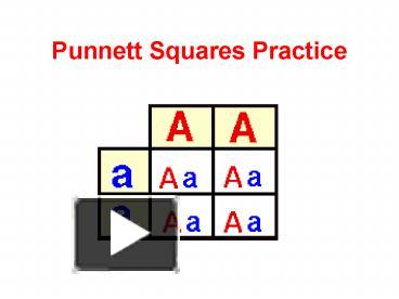 PPT – Punnett Squares Practice PowerPoint Presentation | Free To View ...