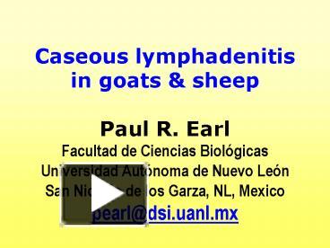 Ppt – Caseous Lymphadenitis In Goats Powerpoint Presentation 