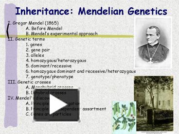 PPT Inheritance Mendelian Genetics PowerPoint Presentation Free To View Id N U M