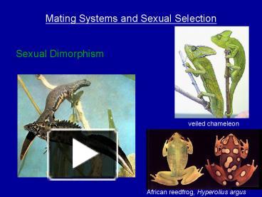 Ppt Mating Systems And Sexual Selection Powerpoint Presentation