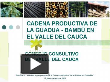 Ppt Cadena Productiva De La Guadua Bamb En El Valle Del Cauca