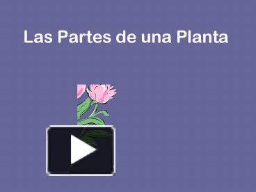 Ppt Las Partes De Una Planta Powerpoint Presentation Free To View