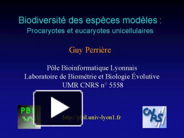 PPT – Biodiversit Des Espces Modles: PowerPoint Presentation | Free To ...