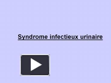PPT – Syndrome infectieux urinaire PowerPoint presentation  free to