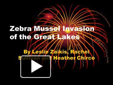 PPT – Zebra Mussel Invasion Of The Great Lakes PowerPoint Presentation ...