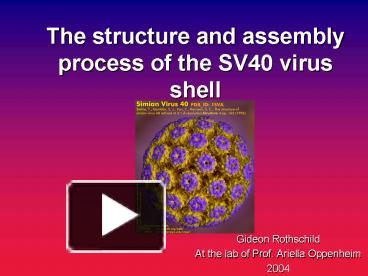 PPT – The structure and assembly process of the SV40 virus shell