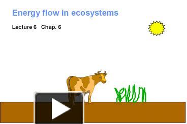 PPT – Energy Flow In Ecosystems PowerPoint Presentation | Free To ...