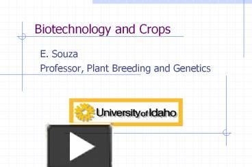 PPT – Biotechnology And Crops PowerPoint Presentation | Free To ...