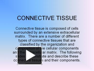 PPT – CONNECTIVE TISSUE PowerPoint Presentation | Free To Download - Id ...