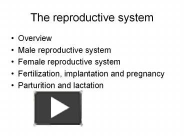 Ppt – The Reproductive System Powerpoint Presentation 