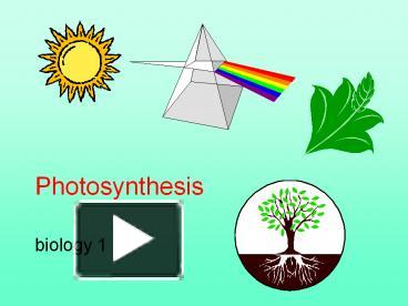 PPT – Photosynthesis PowerPoint Presentation | Free To Download - Id ...