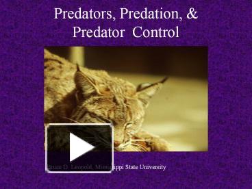 PPT – Predators, Predation, & Predator Control PowerPoint Presentation ...