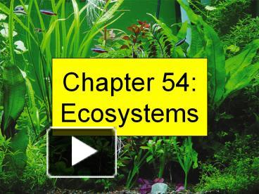 PPT – Chapter 54: Ecosystems PowerPoint Presentation | Free To View ...