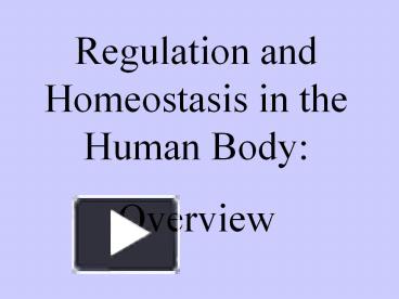 PPT – Regulation And Homeostasis In The Human Body PowerPoint ...